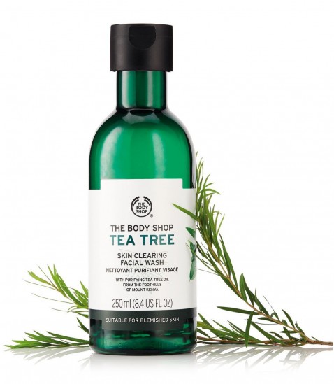 Tea Tree Skin Clearing Facial Wash 250ML