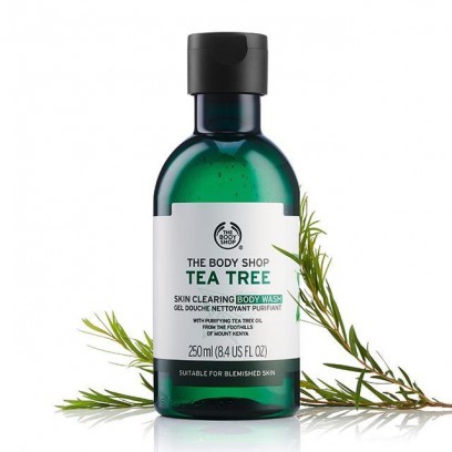 Tea Tree Body Wash 250ML