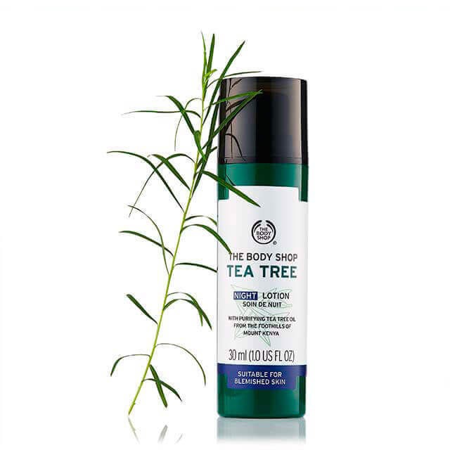 Tea Tree Night Lotion 30ML