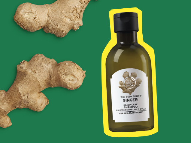 BENEFITS OF GINGER FOR SKIN & HAIR