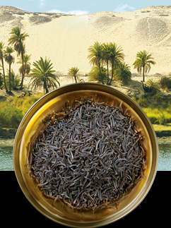 Oil