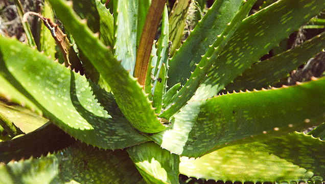 How To Protect Your Skin From The Sun