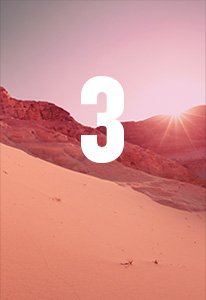 Desert landscape